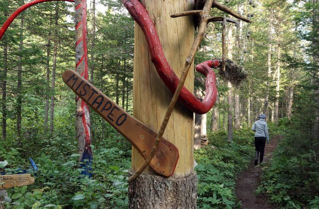 Arbre décoré dans un sentier forestier